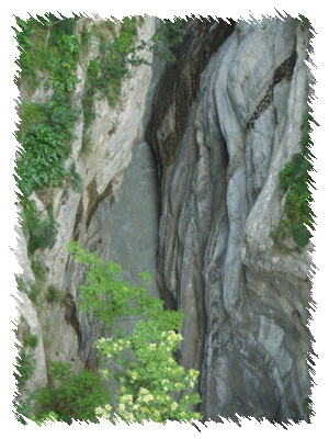 CIVITA - RAGANELLO